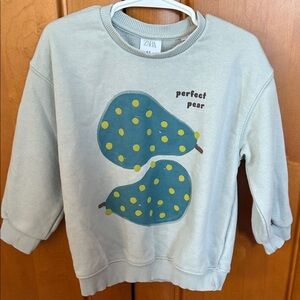 Zara Kids Blue Pear Graphic Sweatshirt